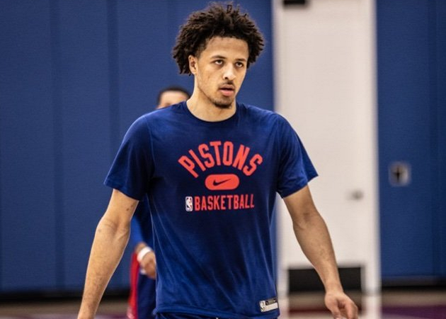 的重要组成 的重要组成