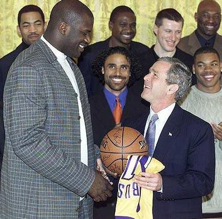 自动化反应 自动化反应